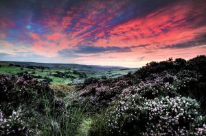 haworth sunset 1 sm.jpg